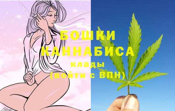 гашик Аркадак