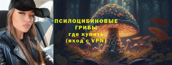 тгк Надым