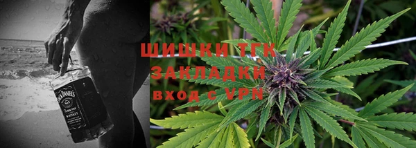 гашик Аркадак